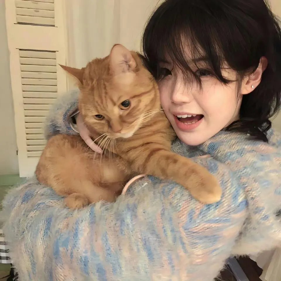 骆驼献舞